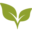 Leaf icon